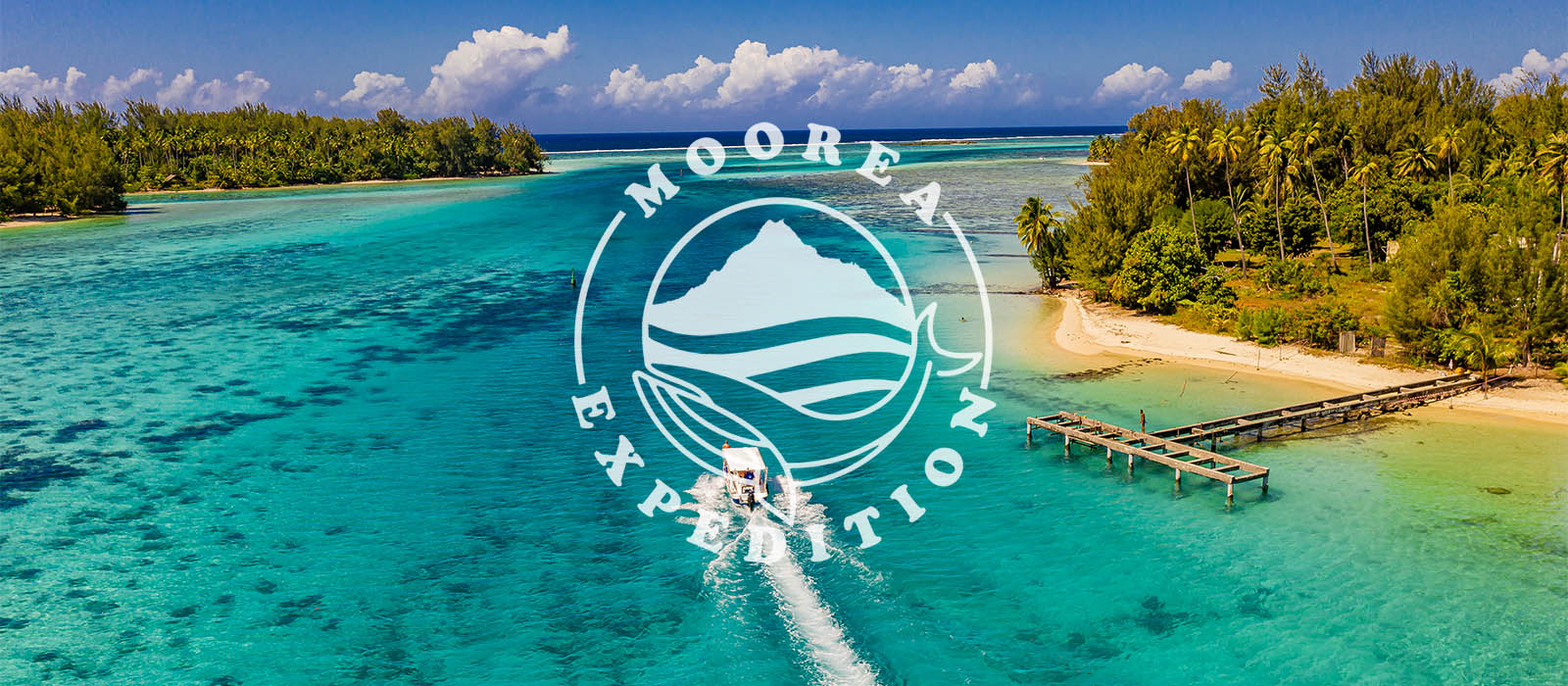 Moorea Expedition