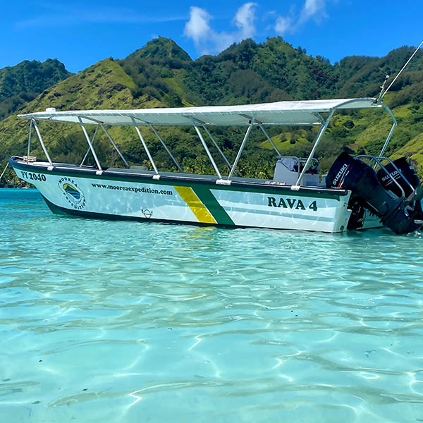 Moorea Expedition