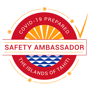 Safety Ambassador Safety Ambassador